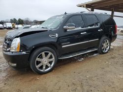 Salvage cars for sale at auction: 2012 Cadillac Escalade Luxury