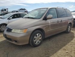 2003 Honda Odyssey EX en venta en San Martin, CA