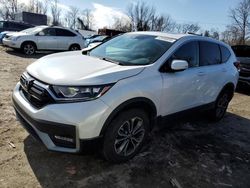 Salvage cars for sale at Baltimore, MD auction: 2020 Honda CR-V EXL