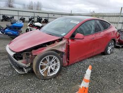 2023 Tesla Model Y en venta en Arlington, WA