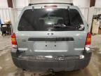 2007 Ford Escape XLT