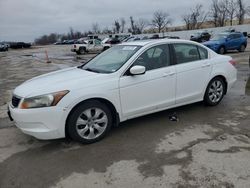 Honda Accord salvage cars for sale: 2008 Honda Accord EXL