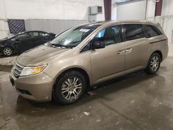 Salvage cars for sale at Avon, MN auction: 2012 Honda Odyssey EXL