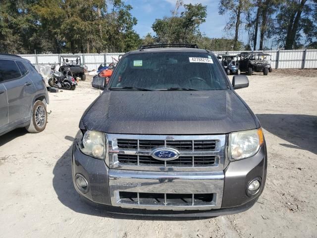 2011 Ford Escape Limited