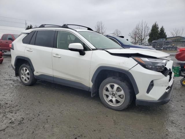 2022 Toyota Rav4 XLE Premium