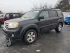 2011 Honda Pilot EXL