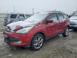 Salvage cars for sale at Magna, UT auction: 2014 Ford Escape SE