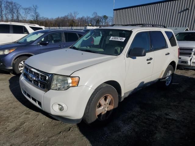 2011 Ford Escape XLT