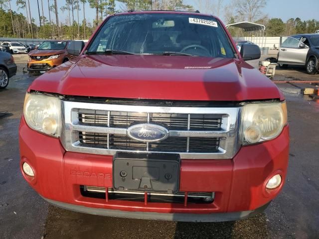 2009 Ford Escape XLT