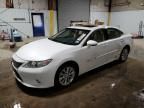 2015 Lexus ES 300H