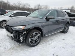 Audi Vehiculos salvage en venta: 2021 Audi Q5 E Premium Plus