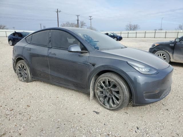 2020 Tesla Model Y