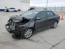 Salvage cars for sale at Farr West, UT auction: 2010 Toyota Corolla Base