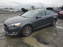 Salvage cars for sale at Eugene, OR auction: 2014 KIA Cadenza Premium