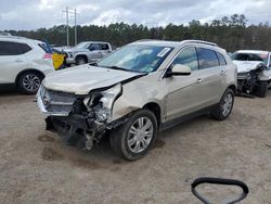 Salvage cars for sale at Greenwell Springs, LA auction: 2011 Cadillac SRX Luxury Collection