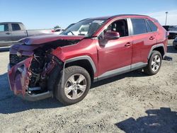 Salvage cars for sale at Antelope, CA auction: 2020 Toyota Rav4 XLE