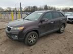 2011 KIA Sorento Base