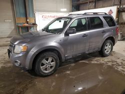 Salvage cars for sale at Eldridge, IA auction: 2008 Ford Escape XLT