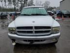 2003 Dodge Dakota Quad SLT