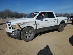 Salvage cars for sale at Conway, AR auction: 2010 Dodge RAM 1500