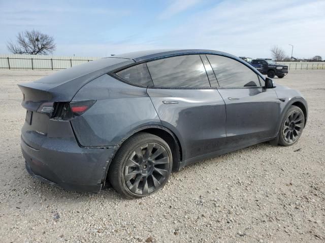 2020 Tesla Model Y