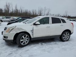 Cadillac Vehiculos salvage en venta: 2011 Cadillac SRX Premium Collection