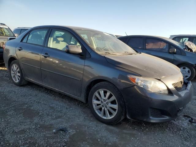 2009 Toyota Corolla Base