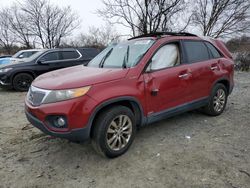 Salvage cars for sale at Baltimore, MD auction: 2011 KIA Sorento EX