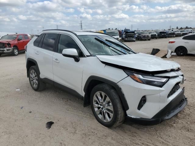 2024 Toyota Rav4 XLE Premium