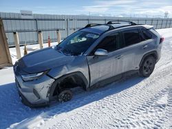 Salvage cars for sale at Helena, MT auction: 2023 Toyota Rav4 LE