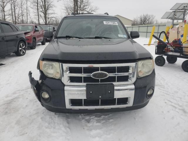 2010 Ford Escape Limited