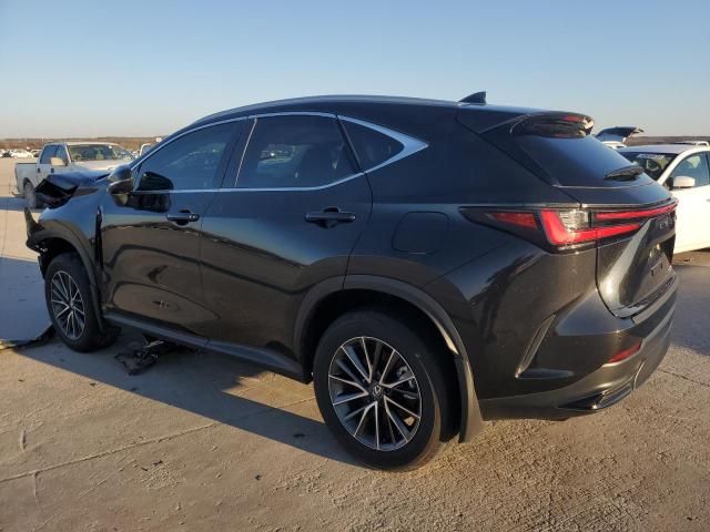 2025 Lexus NX 250 Base