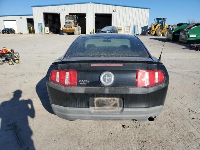 2010 Ford Mustang