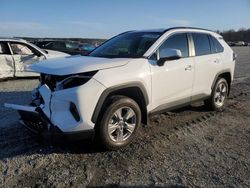 Salvage cars for sale at Spartanburg, SC auction: 2025 Toyota Rav4 XLE