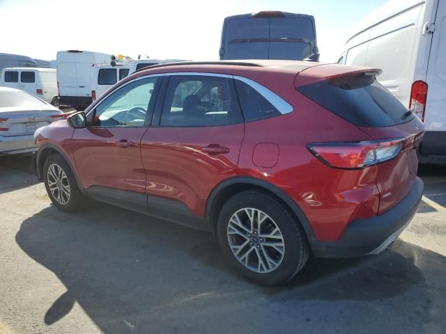 2021 Ford Escape SEL