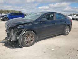 Salvage cars for sale at Apopka, FL auction: 2017 Hyundai Elantra SE