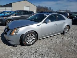 Salvage cars for sale at Lawrenceburg, KY auction: 2010 Cadillac CTS Luxury Collection