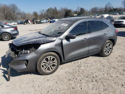 Salvage cars for sale at Madisonville, TN auction: 2022 Ford Escape SEL