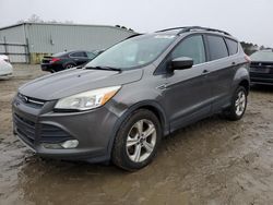 Ford Escape se salvage cars for sale: 2014 Ford Escape SE