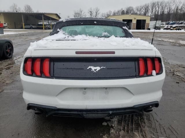 2021 Ford Mustang