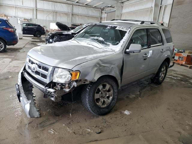 2010 Ford Escape Limited