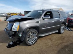 Salvage cars for sale at Brighton, CO auction: 2010 Cadillac Escalade