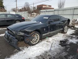 Vehiculos salvage en venta de Copart New Britain, CT: 2014 Ford Mustang