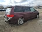 2008 Honda Odyssey EXL