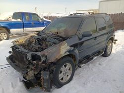 Salvage cars for sale from Copart Anchorage, AK: 2005 Ford Escape XLT