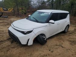 Salvage cars for sale at Gaston, SC auction: 2024 KIA Soul LX