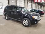 2010 Ford Escape Limited