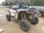 2024 Polaris RZR XP 1000 Sport