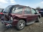 2007 Chevrolet Trailblazer LS