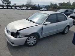 Salvage cars for sale at San Martin, CA auction: 2001 Toyota Corolla CE